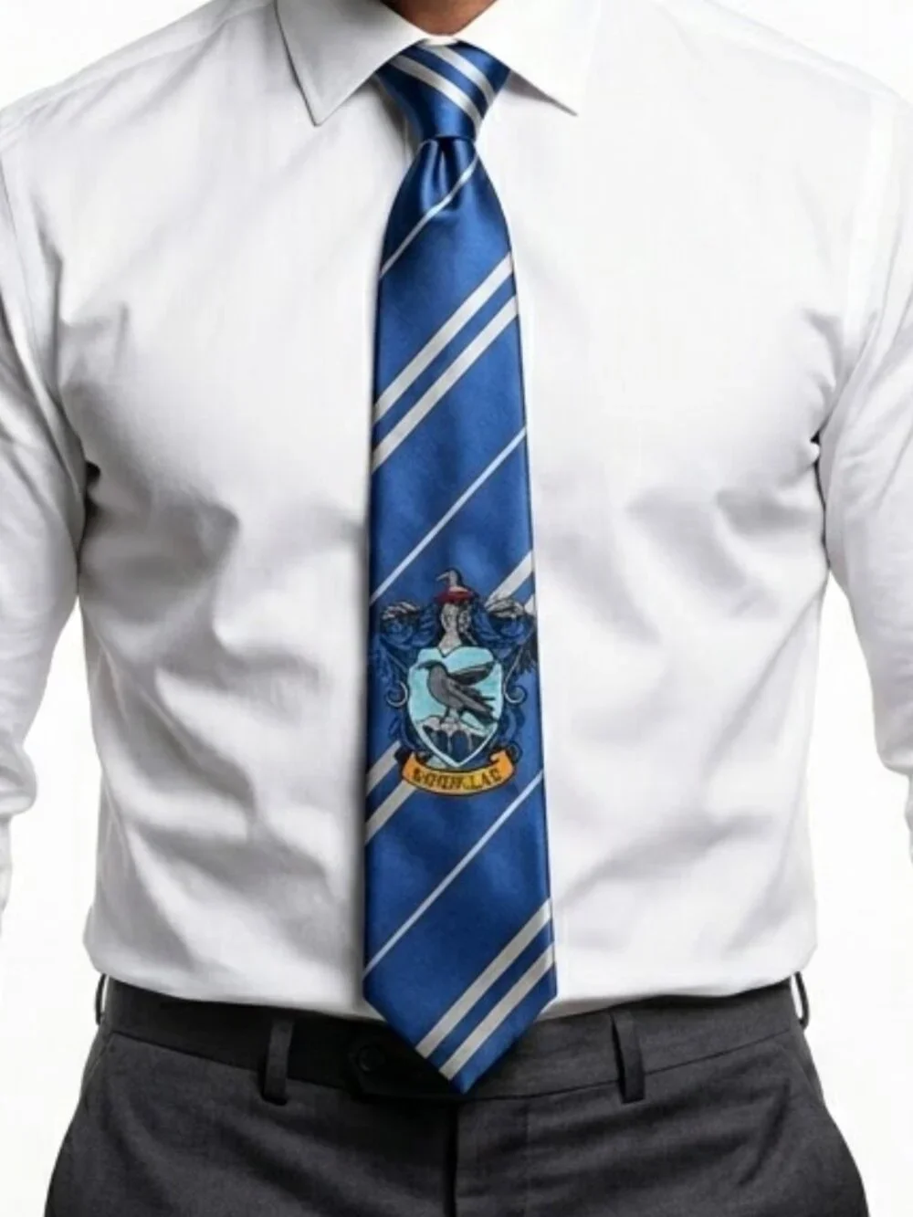 RUBIE’S Harry Potter Ravenclaw House Tie Dark Academia Wizardcore